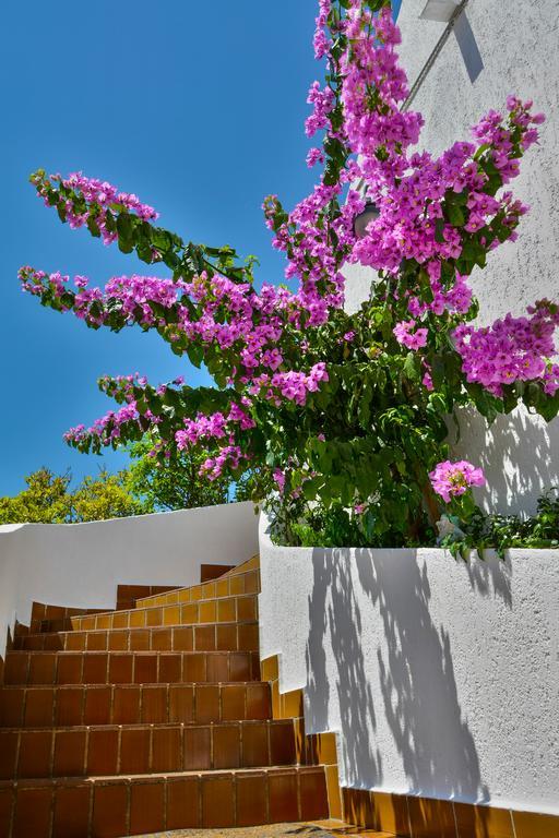 Bella Vista Apartments Crikvenica Zewnętrze zdjęcie